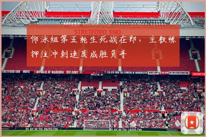 仰泳组第五轮生死战在即，主教练押注冲刺速度成胜负手